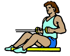 seated cable row: click for contents